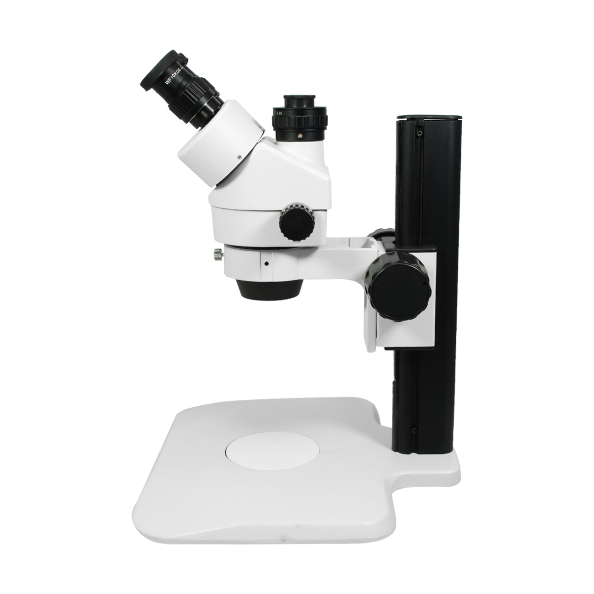 Stereo Microscope